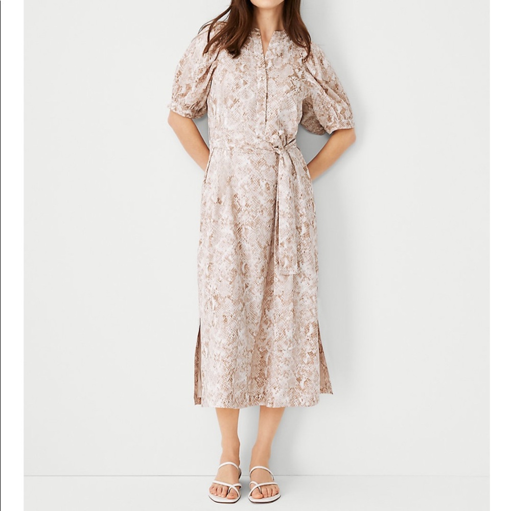 Ann Taylor Midi dress snake print